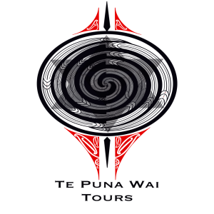 Te Puna Wai Tours