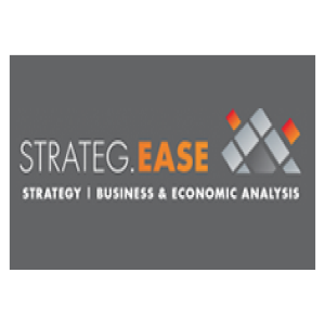 Read more about the article <a href="https://www.enfocus.co.nz/">Strateg.Ease Ltd</a>
