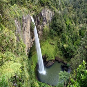 You are currently viewing <a href="mailto:tahirangiawha@gmail.com">Waaireinga Bridal Veil Falls</a>