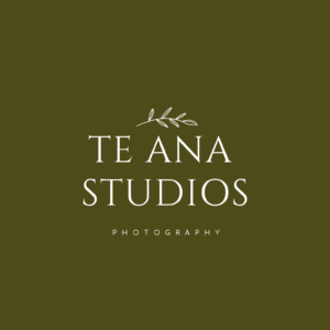 Te Ana Studios