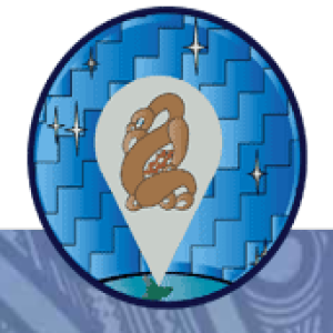 Digital Navigators