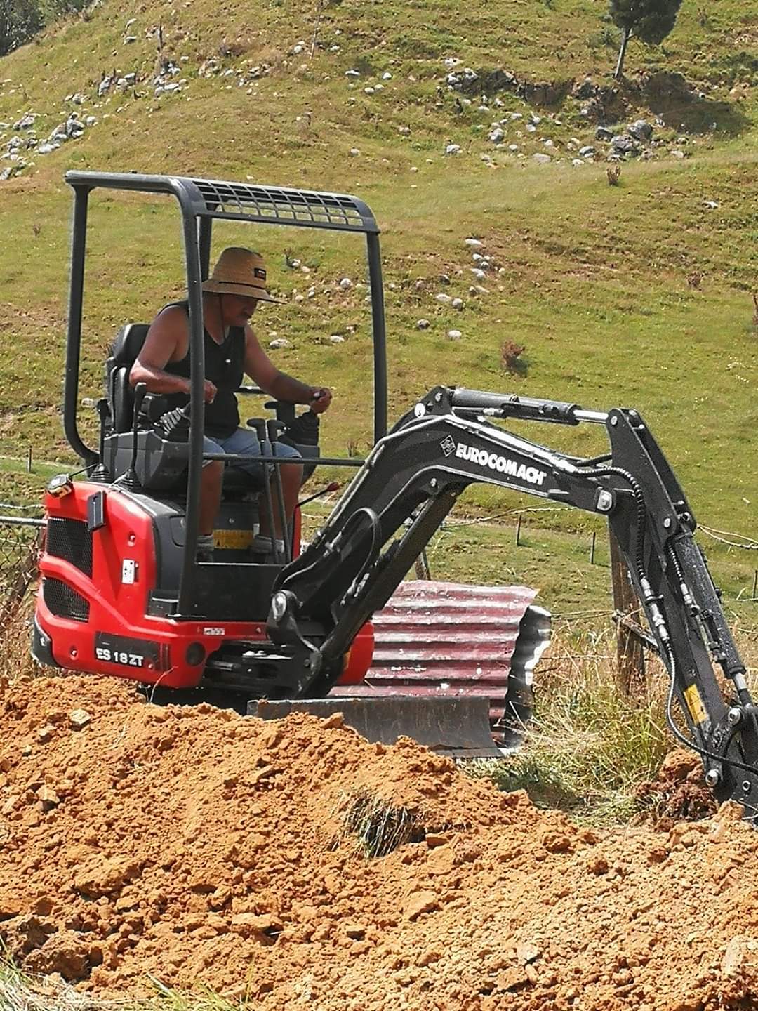 Manga Roach Contracting