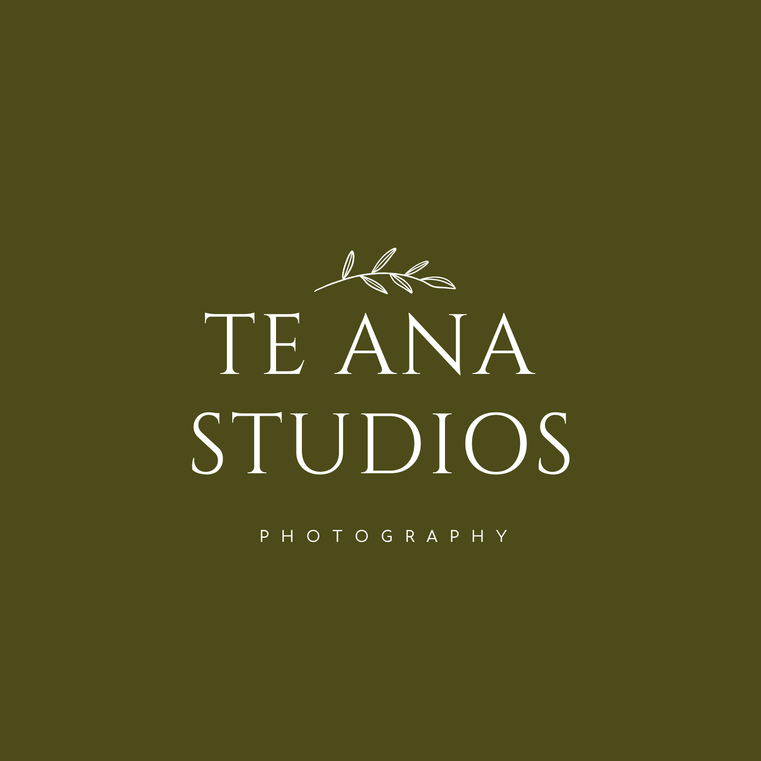 Te Ana Studios