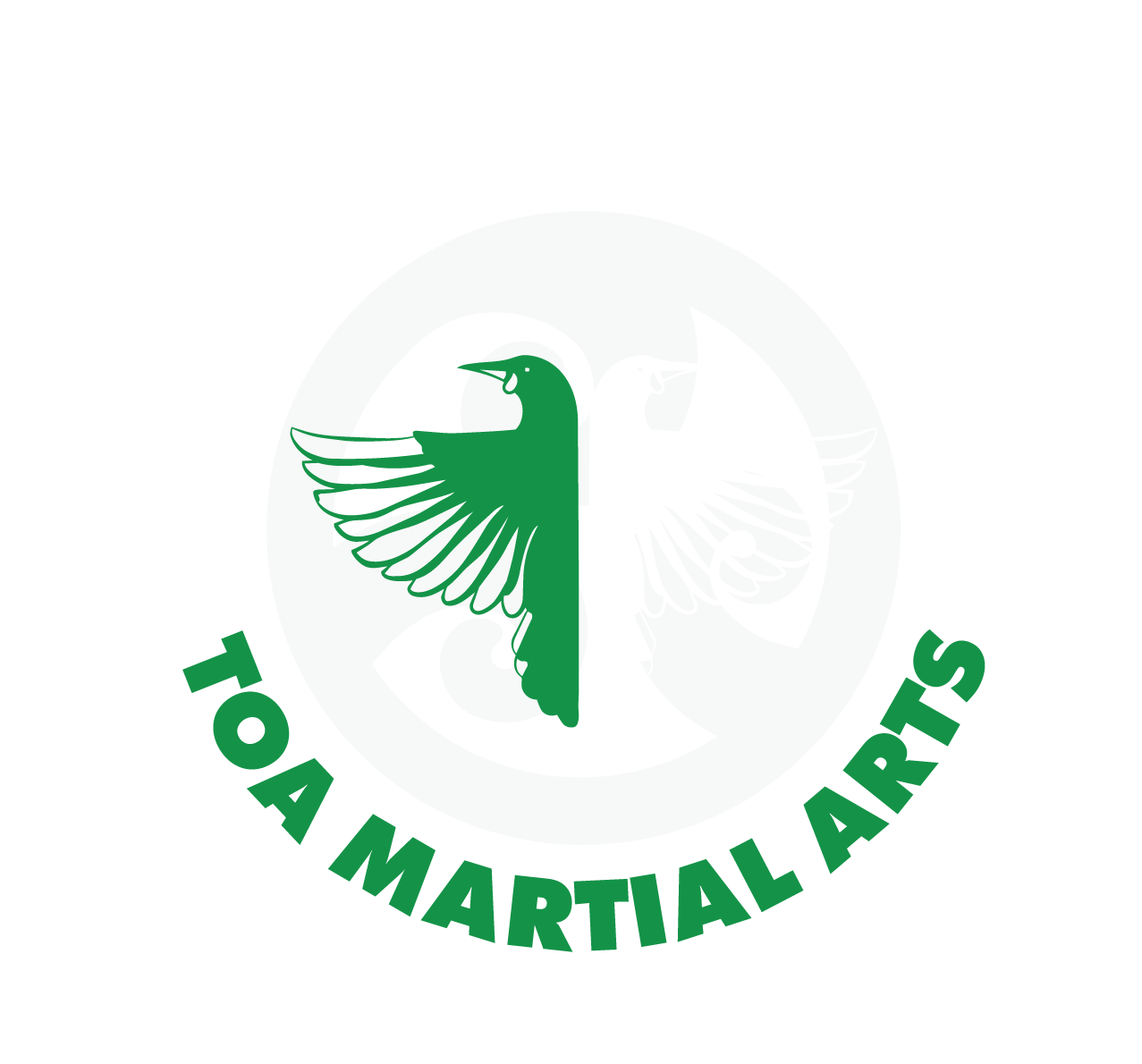 Evolution Fitness / Toa Martial Arts